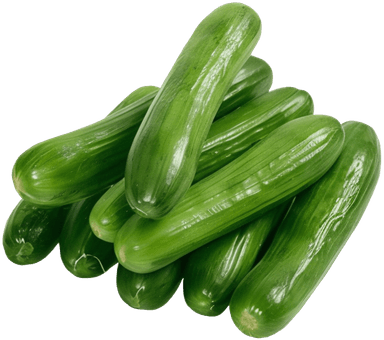 product-Cucumber 10 KG